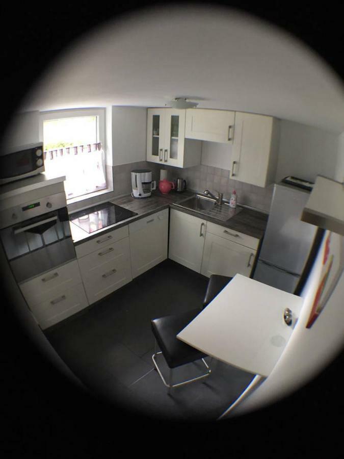 Appartamento Haus Lindenteichblick Atzenhausen Esterno foto